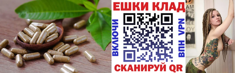 ЭКСТАЗИ 300 mg кракен ССЫЛКА Тулун